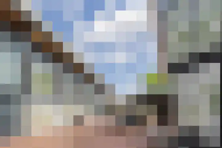 Mezenstraat 5 Oss thumbnail 23
