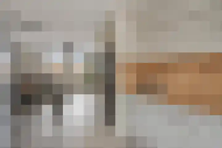 Mezenstraat 5 Oss thumbnail 8