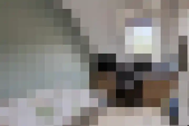 Mezenveld 135 Emmen thumbnail 11