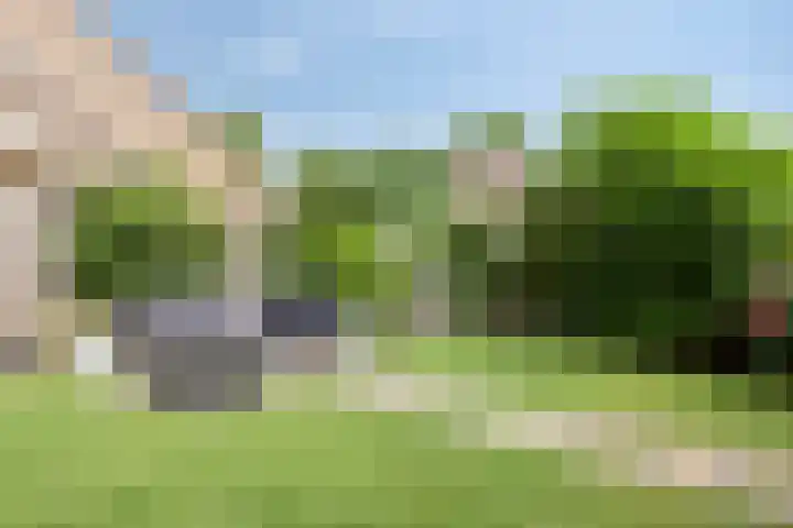 Mezenveld 135 Emmen thumbnail 16
