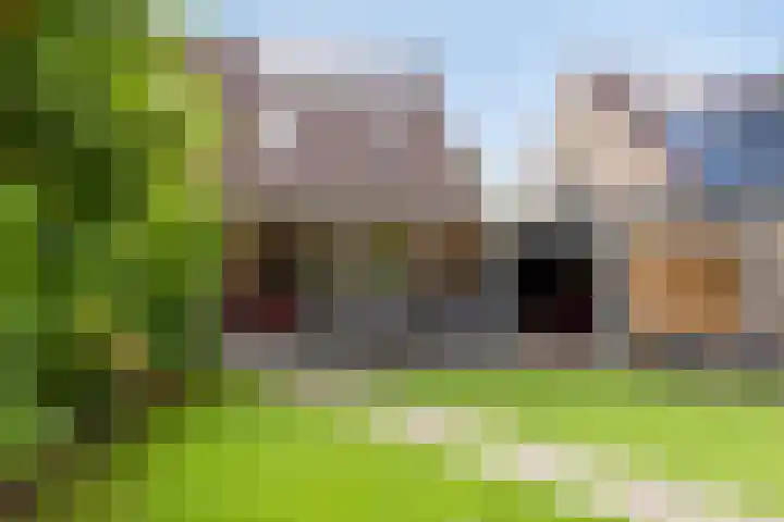 Mezenveld 135 Emmen thumbnail 17