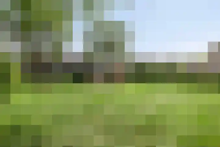 Mezenveld 135 Emmen thumbnail 19