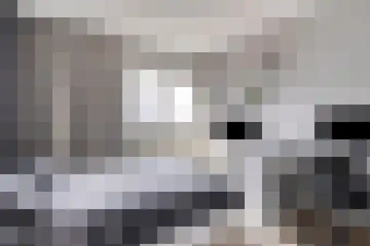 Mezenveld 135 Emmen thumbnail 8