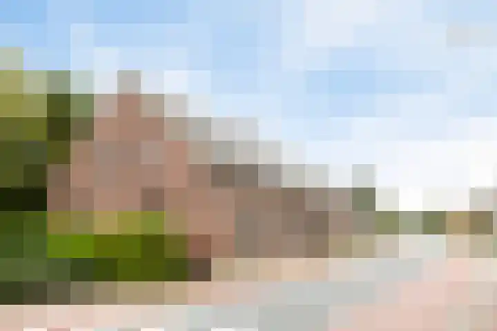 Mgr Aertsstraat 2 Swolgen thumbnail 33