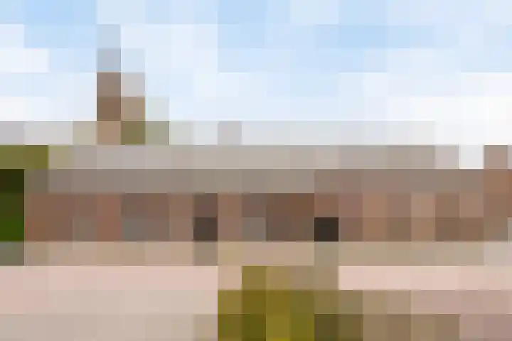 Mgr Aertsstraat 2 Swolgen thumbnail 34