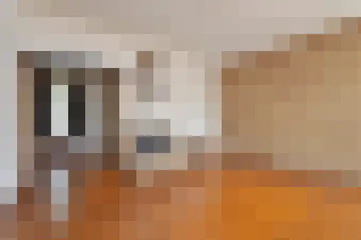Mgr Aertsstraat 2 Swolgen thumbnail 8
