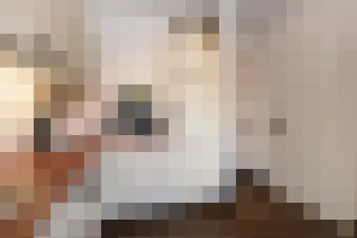 Mgr. Bosstraat 41 Uden thumbnail 8