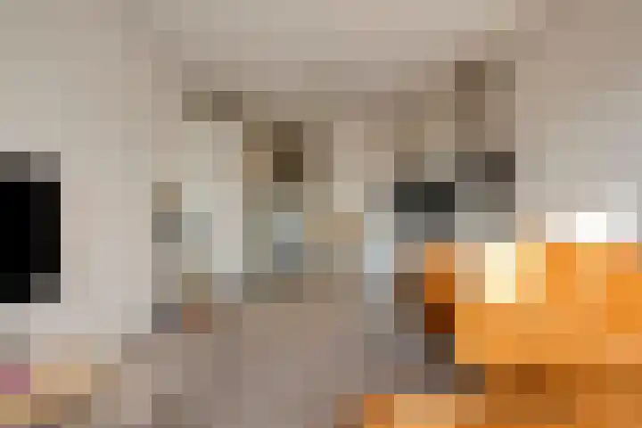 Mgr. Bosstraat 7 D Uden thumbnail 8