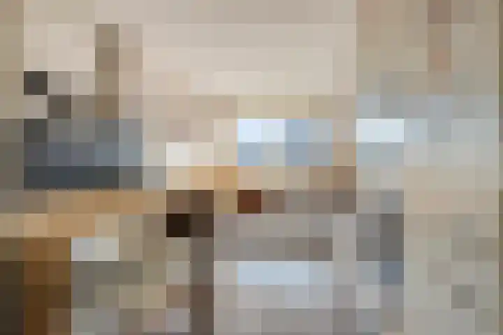 Mgr. Bosstraat 7 D Uden thumbnail 9