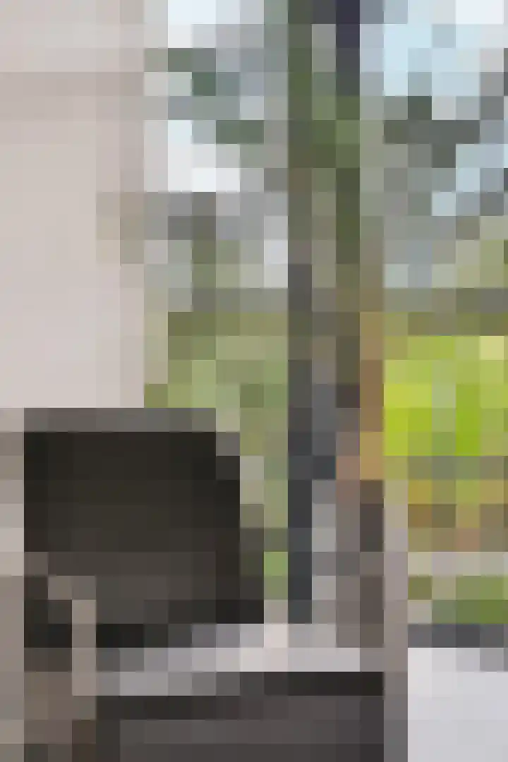 Michael Faradaystraat 74 Almere thumbnail 19