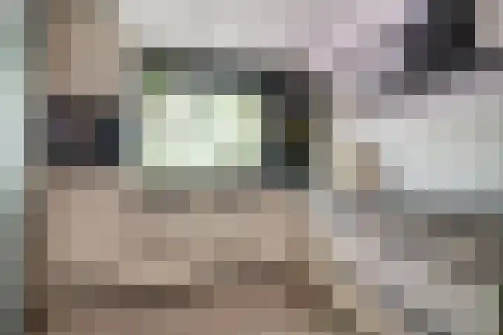 Michielpad 11 Wijchen thumbnail 23