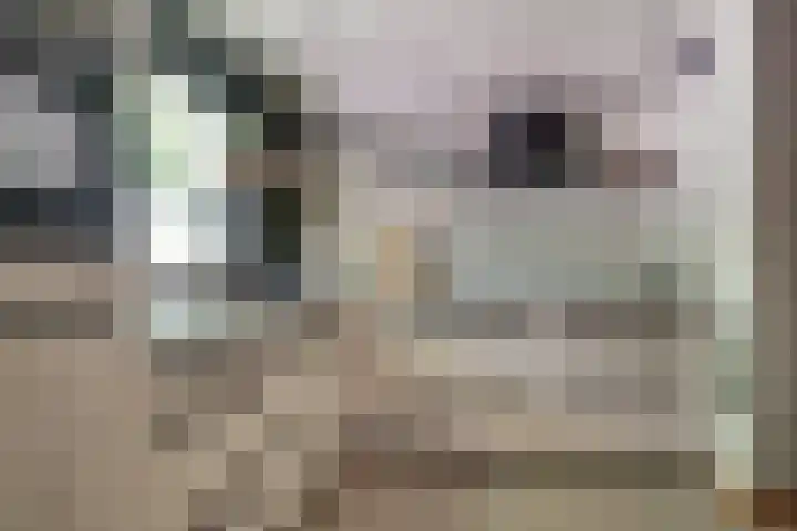 Michielpad 11 Wijchen thumbnail 25