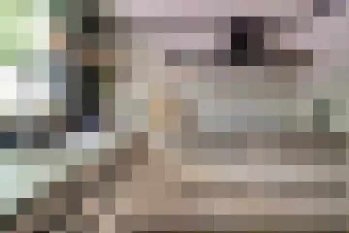 Michielpad 11 Wijchen thumbnail 26