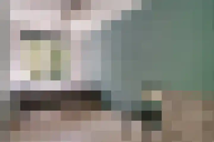 Michielpad 11 Wijchen thumbnail 28