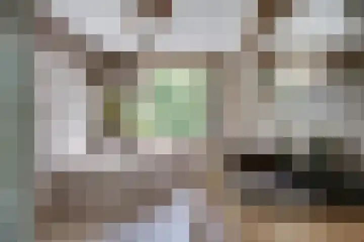 Michielpad 11 Wijchen thumbnail 34