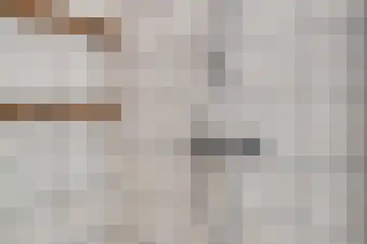 Michielpad 11 Wijchen thumbnail 35