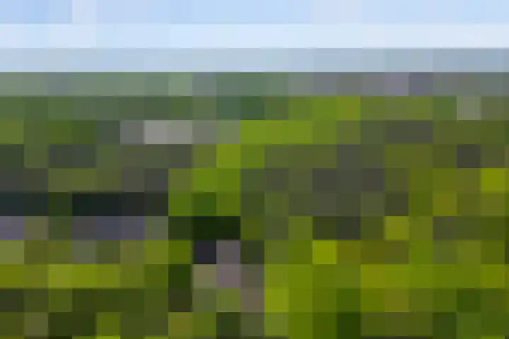 Michielpad 11 Wijchen thumbnail 57