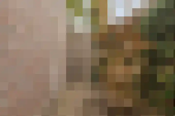 Mickershof 13 Gemert thumbnail 22