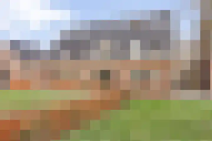 Mickershof 13 Gemert thumbnail 24