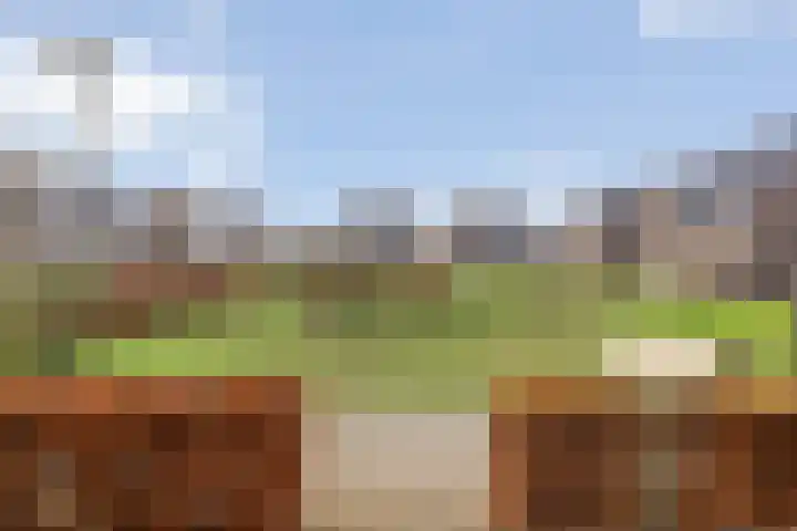 Mickershof 13 Gemert thumbnail 26