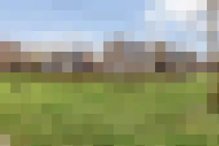 Mickershof 13 Gemert thumbnail 27
