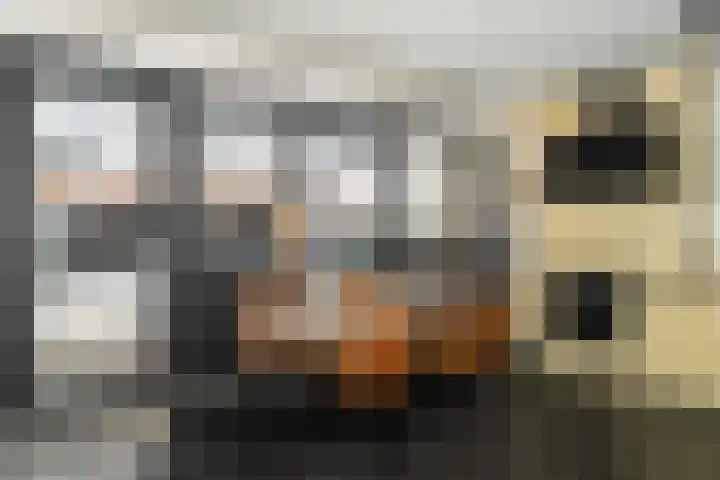 Midachten 39 Epe thumbnail 15