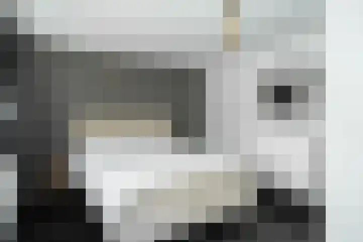 Midachten 39 Epe thumbnail 18