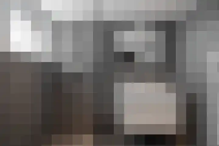 Midachten 39 Epe thumbnail 27