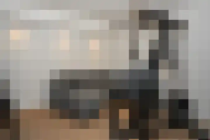 Midachten 39 Epe thumbnail 29