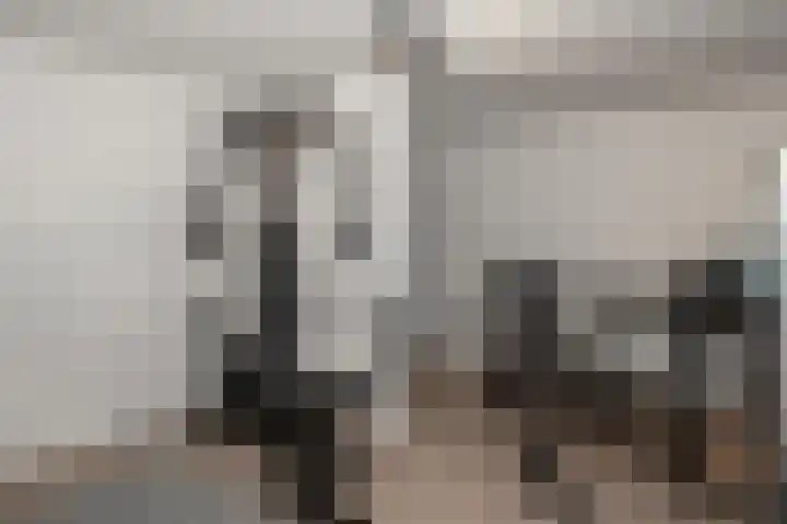 Midachten 39 Epe thumbnail 30