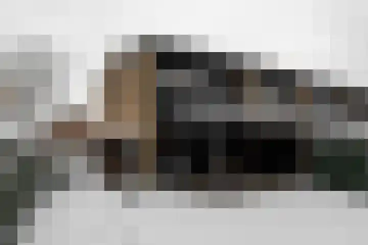 Midachten 39 Epe thumbnail 31