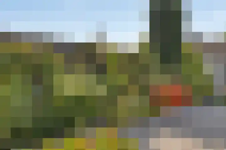 Midakker 11 Bergeijk thumbnail 19