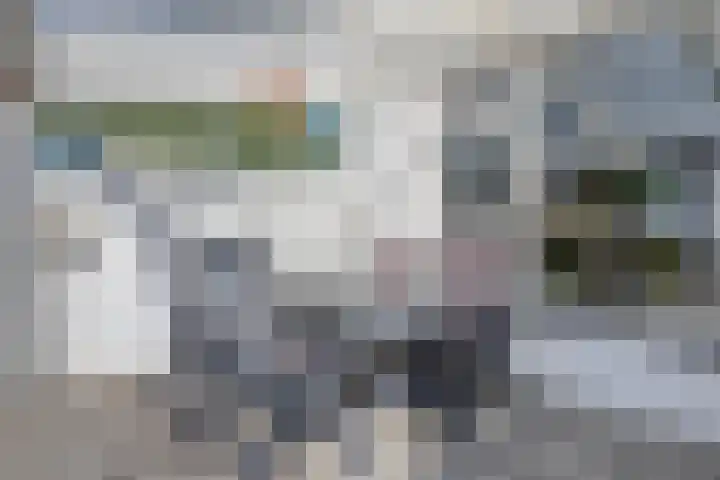 Midakker 11 Bergeijk thumbnail 21