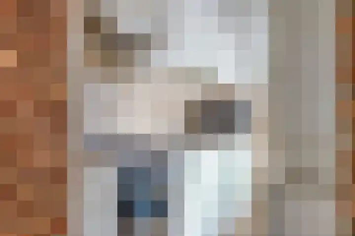 Midakker 11 Bergeijk thumbnail 8