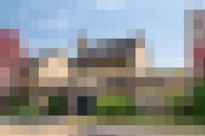 Midakkers 19 in Eersel