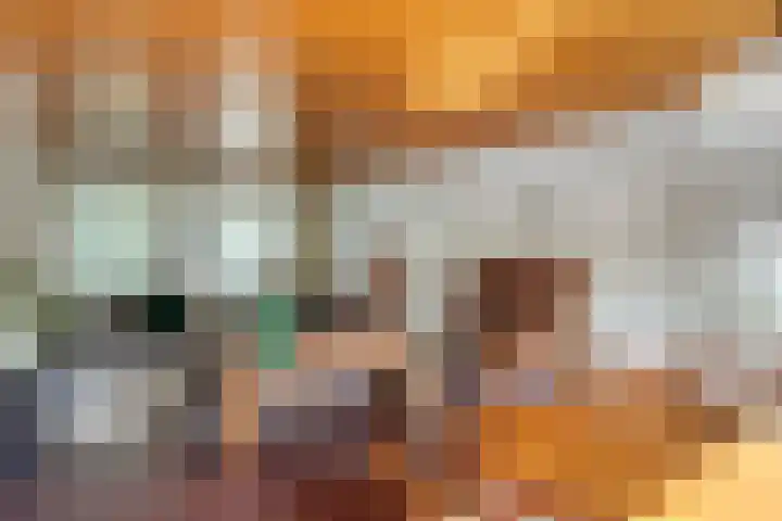 Midakkers 19 Eersel thumbnail 13