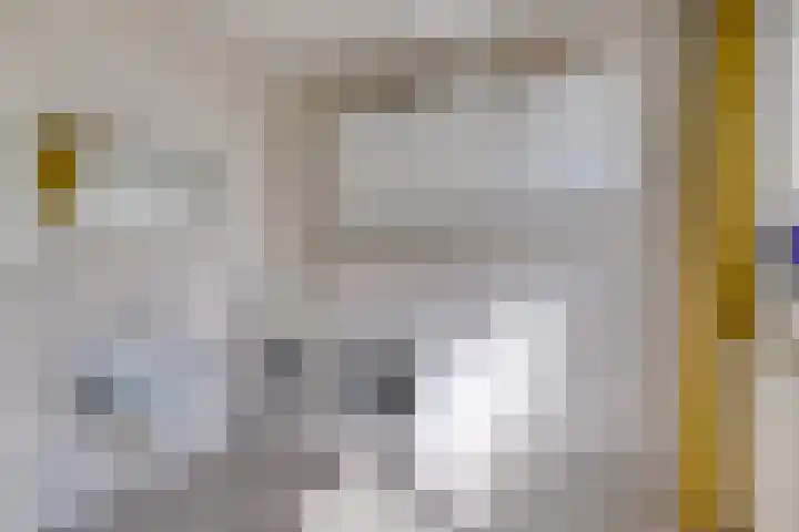 Midakkers 19 Eersel thumbnail 17