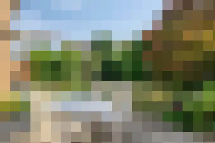 Midakkers 19 Eersel thumbnail 32