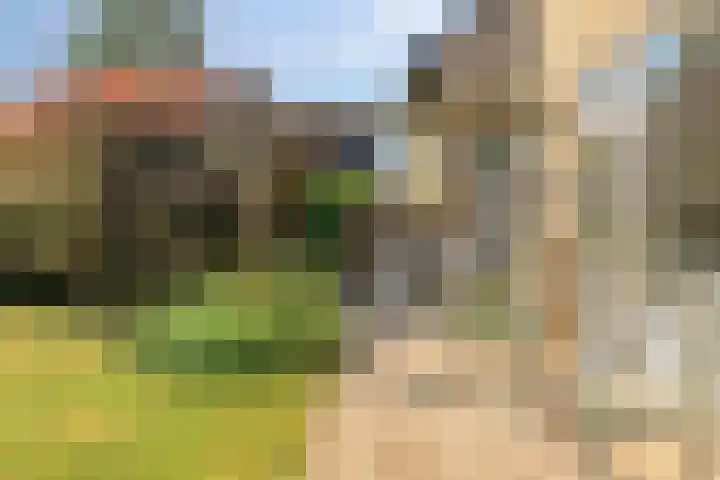 Midakkers 19 Eersel thumbnail 33