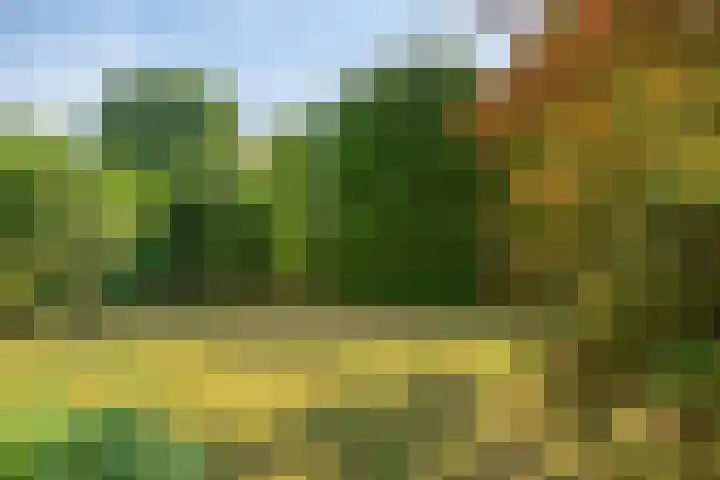 Midakkers 19 Eersel thumbnail 34