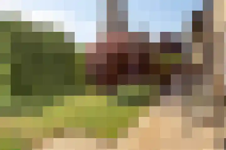 Midakkers 19 Eersel thumbnail 35