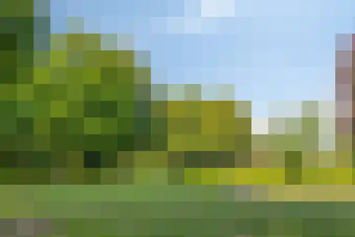 Midakkers 19 Eersel thumbnail 36