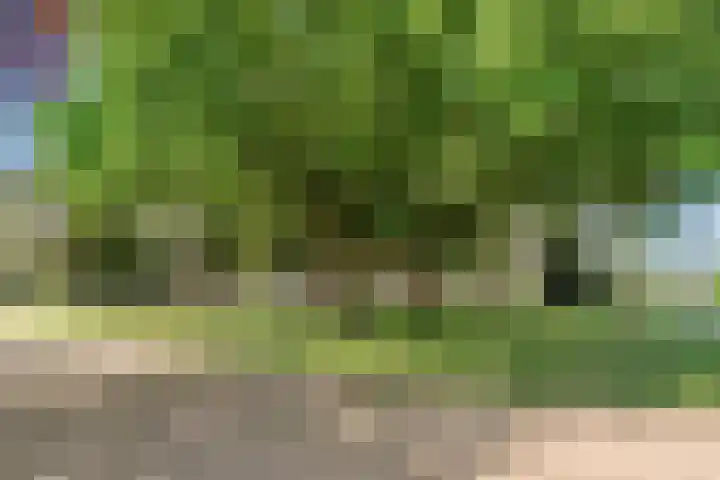 Midakkers 19 Eersel thumbnail 5