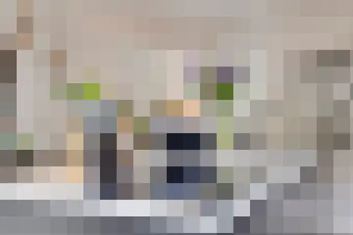 Middachtendreef 26 Helmond thumbnail 21