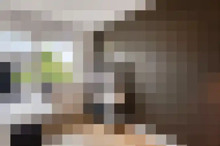 Middachtendreef 26 Helmond thumbnail 32