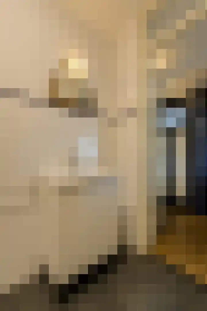Middachtenstraat 44 C Breda thumbnail 35