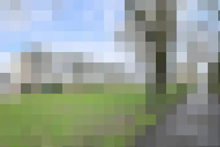 Middachtenstraat 44 C Breda thumbnail 36