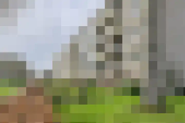 Middachtenstraat 44 C Breda thumbnail 6