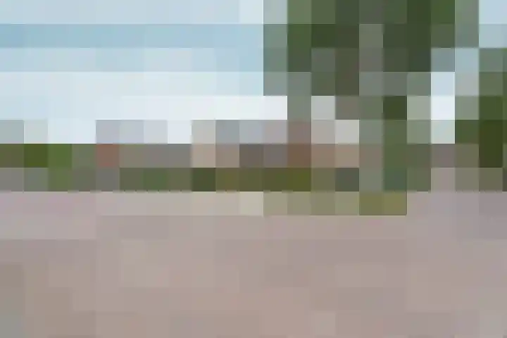 Middag 67 Babberich thumbnail 61
