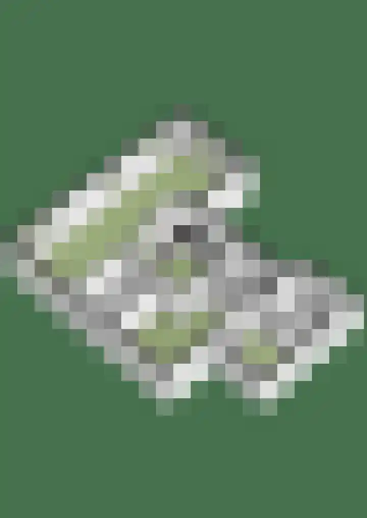Middag 67 Babberich thumbnail 64